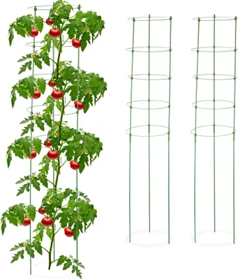 Produktbild von Relaxdays Rankhilfe, 3er Set, 5 Ringe, HxD: 150 x 28 cm, Blumen & Nutzpflanzen, Metall und Kunststoff, Tomatenturm, grün