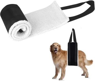 Obrázek produktu pro Kvalitní postroj pro starší psy