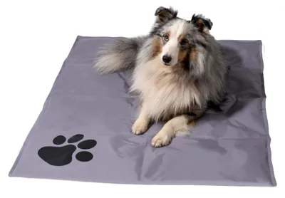 Produktbild von dobar Große Kühlmatte für Hunde, selbstkühlende Haustiermatte mit Pfoten Muster, 99,5 x 70 cm, Grau