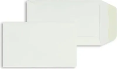 Produktbild von Versandtaschen 65x105mm 120g/qm gummiert VE=100 Stück biotop