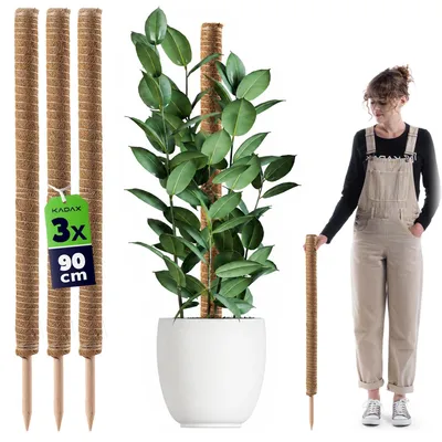 Obrázek produktu pro Podpěra pro popínavé rostliny – sada 3 kusů z kokosového dřeva – délka 90 cm – průměr 4,5 cm – vhodná pro Monstera a pokojové rostliny
