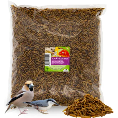 A large bag of black soldier fly larvae, with two birds and a pile of larvae in the foreground.