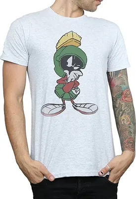 Produktbild von Looney Tunes - T-Shirt für Herren BI1289 (XXL) (Grau)