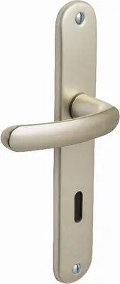 Obrázek produktu pro Sada dveří BEZAULT 165 mm s klíčem L - šampaňské - 73276