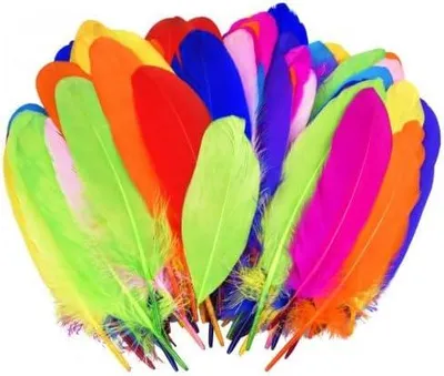 Image de Plumes décoratives colorées, 100 pièces, 15-20 cm, pour la décoration créative et les projets de bricolage