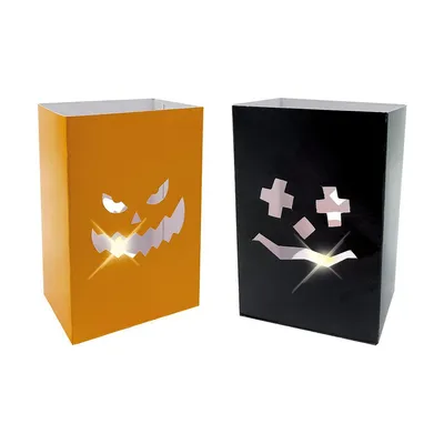 Image de 3 Lanternes Halloween Modèles Assortis