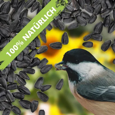 Produktbild von 20 kg Sonnenblumenkerne schwarz Vogelfutter für Vögel Wildvögel deutsche Ernte