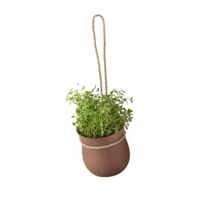 Produktbild von Rig-Tig Grow-It Kräutertopf, Blumentopf, Pflanzentopf, Pflanzkübel, Silikon, Terracotta, 13 cm, Z001301