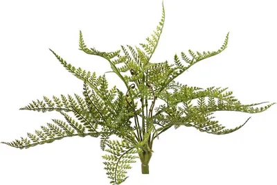 Produktbild von artplants.de Kunst Schildfarn FAKINDO auf Steckstab, grün, 25cm - Künstliche Farnpflanze
