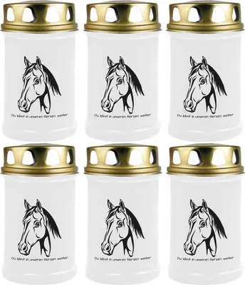 Produktbild von Grabkerze Weiß 6er Pack, Brenndauer: 48 Stunden ( je Kerze ), Motiv: Pferdekopf 1