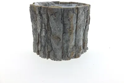 Produktbild von Blumentopf Holz Topf Rinde Borke Pflanztopf Ø15cm H12cm natur gekälkt Pflanzkorb
