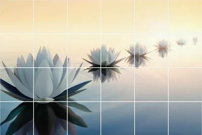 Produktbild von Fliesenaufkleber 15x15 cm – 24 Stück – Selbstklebend – Wasserfest – Pflegeleicht – Hitzebeständig – Für Küche & Bad – Blumen auf dem Wasser
