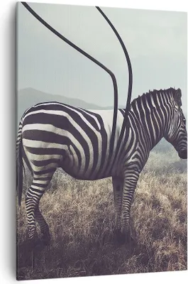 Produktbild von Bild auf Leinwand - Leinwandbild - Einteilig - Zebra Tier Wiese - 70x100cm - Wand Bild - Wanddeko - Wandbilder - Leinwanddruck - Wanddekoration - Leinwand bilder - Wandbild - PA70x100-3959