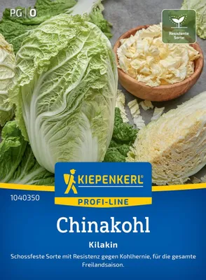 Produktbild von Kiepenkerl Chinakohlsamen Kilakin F1 Brassica rapa pekinensis 20 Pflanzen