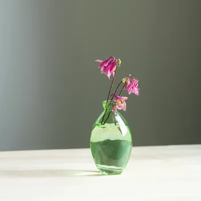 Produktbild von Minivasen Glas Retro Grün H12cm Set 6 Stück für Deko