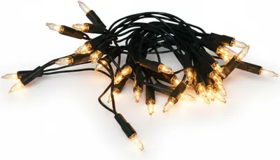 A tangle of black wire string lights with clear bulbs.