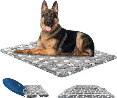 Immagine prodotto di Cuccia reversibile per cani 122x76 cm, grigio e blu, in schiuma ad alta densità