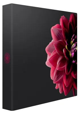 Image de Album Photo Pochette dahlia 200 Photos 10x15 cm