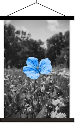 Produktbild von MuchoWow® Textilposter Blumen - Schwarz - Weiß - Blau 60x90 cm mit schwarzem Rahmen - Poster Wohnzimmer