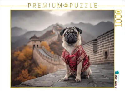 Produktbild von CALVENDO Puzzle Kaiserliche Kuschelschnauze | 1000 Teile Lege-Größe 64x48cm Foto-Puzzle für glückliche Stunden