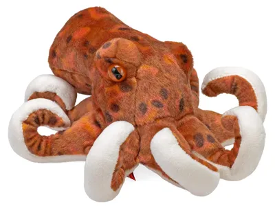 Immagine prodotto di Solidchoice - Peluche a forma di polpo, morbidissimo, 20 cm