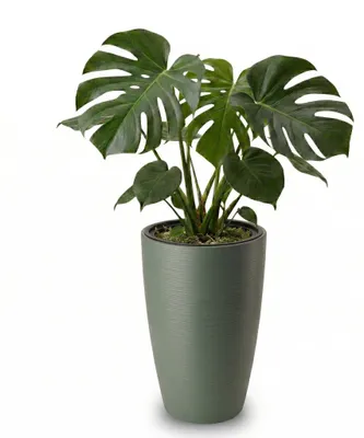 Productafbeelding van Grote bloempot voor buiten, model CALMO, kleur saliegroen, afmetingen 39 x 58 cm