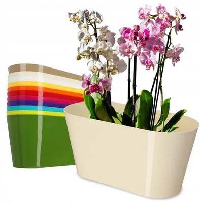 Produktbild von Tomivo® KADAX Kunststoff-Blumentopf oval 27 x 13 cm, breite Pflanzschale für Orchideen, Bellis, Stiefmütterchen & Dracaena, ecru