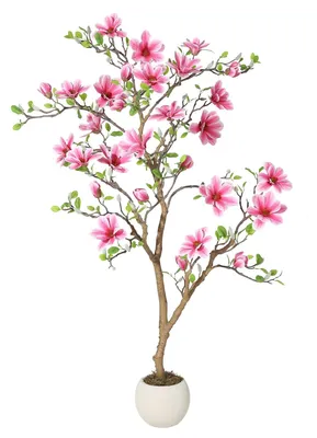 Produktbild von Magnolienbaum - Kunstpflanze im Topf - 183 cm hoch - Sehr realistisch - Für den Innenbereich - Bodenaufstellung - Rosa