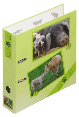 Immagine prodotto di PAGNA 50393-15 PAGNA Motivordner Bauernhoftiere 7,5 cm DIN A4