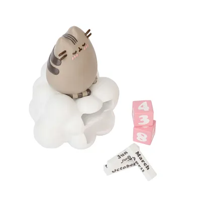 Produktbild von Pusheen Dauerkalender Geschenk-Set