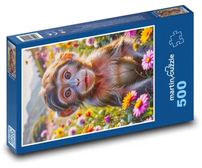 Obrázek produktu pro martinpuzzle - Puzzle 500 - Opice