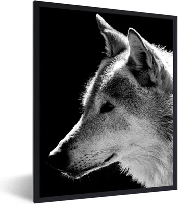 Produktbild von MuchoWow® Gerahmtes Poster Wildlife - Wolf - Schwarz - Weiß 30x40 cm - Poster mit Schwarzem Bilderrahmen Wandposter Rahmen Foto Bilder - Wanddeko - Kunstdrucke