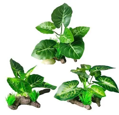 Image de Décoration pour aquarium : Plantes artificielles - Lot de 3 - 20 x 5 x 15 cm