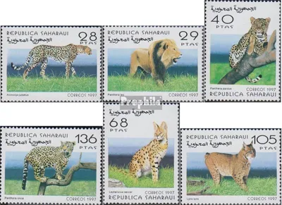 Produktbild von Briefmarken Sahara 1997 Mi Ausgabe der Exilregierung ohne Gültigkeit im int. Postverkehr Nr.36 postfrisch Raubkatzen