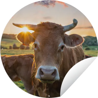 Produktbild von MuchoWow® Gartenposter Outdoor-Poster Rund Kühe - Sonne - Wiese - Landleben Ø 120 cm Gartendeko Rundes Poster draußen