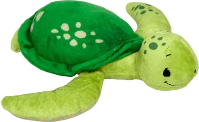 Produktbild von Liebling-Schildkröte (J. Tourlonias)