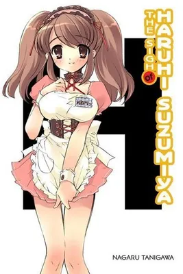 Obrázek produktu pro The Sigh of Haruhi Suzumiya (light novel)