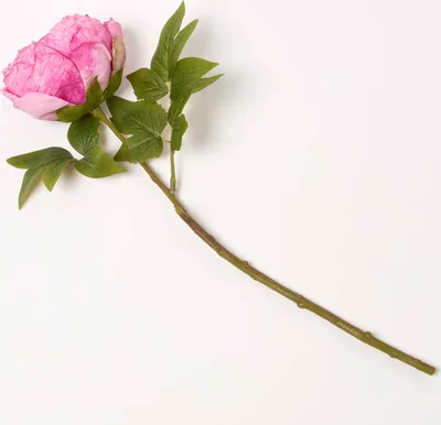 Image de HOMESCAPES Fleur de pivoine avec longue tige - fleur artificielle rose, 48 cm