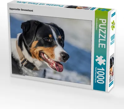 Produktbild von CALVENDO Puzzle Appenzeller Sennenhund | 1000 Teile Lege-Größe 64x48cm Foto-Puzzle für glückliche Stunden
