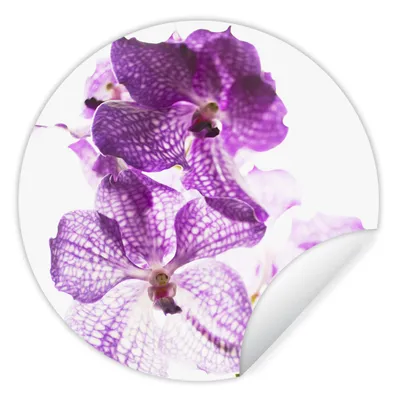 Produktbild von MuchoWow® Runde Wandtattoo - Wandsticker Tapete Aufkleber Lila Orchideen Ø 100 cm Selbstklebend und Repositionierbar - Wandaufkleber - Kreis - Tapetenkreis - Wandbild rund - Schlafzimmerdekoration - Wanddeko - runde Tapete - Kunst für zu Hause