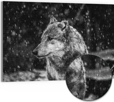 Produktbild von DEQORI Hybrid Leinwand Bild 90x60 cm 'Winterwächter' Wandbild Glas flach modern