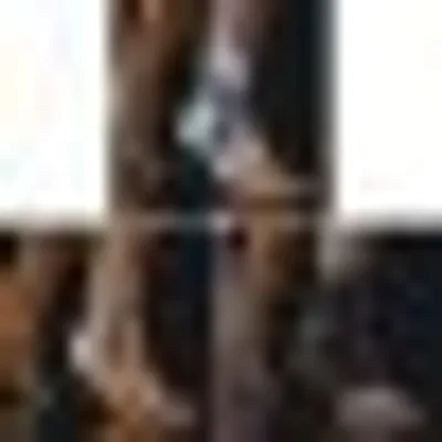 Image de BORT TaloStabil Plus argent moyen gauche, 1 pièce BAN