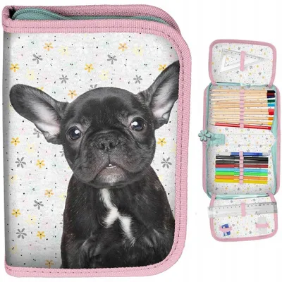Image de Trousse scolaire Paso Bouledog équipée pour enfants