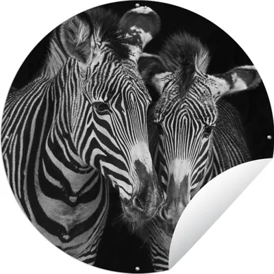 Produktbild von MuchoWow® Gartenposter Outdoor-Poster Rund Tierprofil Zebras in Schwarz und Weiß Ø 120 cm Gartendeko Rundes Poster draußen