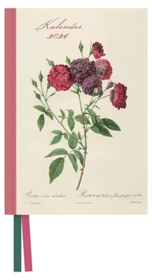 Produktbild von DUMONT - Redoutés Rosen Taschenkalender 2026 - Terminplaner mit Wochenkalendarium - 11 x 16 cm - Blumen-Design mit Rosen von P.J. Redouté