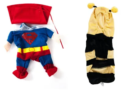 Produktbild von Hundekostüm Hundepullover Hundejacke Hundebekleidung div.Größen, Motiv:Biene Maja, Größe:M