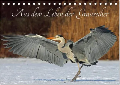 Produktbild von Aus dem Leben der Graureiher (Tischkalender 2025 DIN A5 quer), CALVENDO Monatskalender