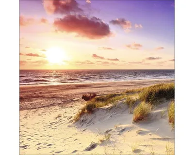 Produktbild von Leinwandbild Sea Harmony 27x27 cm