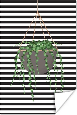 Produktbild von MuchoWow® Poster Hängepflanze - Pflanzenaufhänger - Schwarz - Weiß 60x90 cm - Wanddekoration