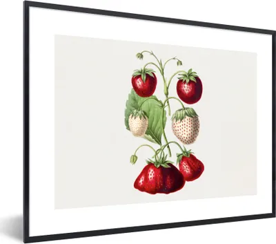 Produktbild von MuchoWow® Gerahmtes Poster Erdbeeren - Pflanze - Lebensmittel 80x60 cm - Poster mit Schwarzem Bilderrahmen Wandposter Rahmen Foto Bilder - Schwarzem - Mit Gestell